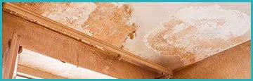 logo-image - banner-damage-sid-v2-wgr4
