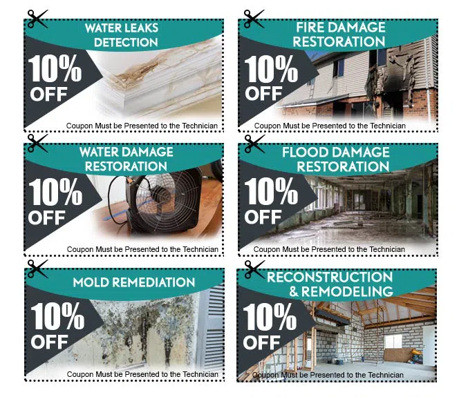 Miami Water & Mold Damage Miami, FL 786-320-7360 - cpn-v2-wgr-4